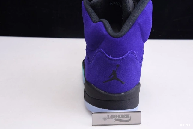 Rep Air Jordan Alternate 136027-500 Retro Grape 5 0811